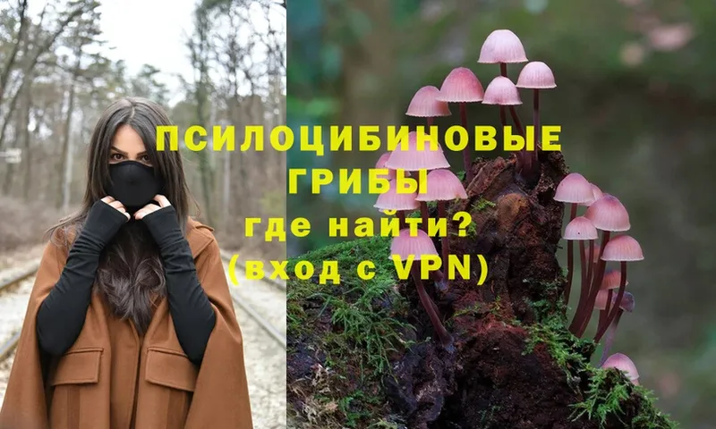 Псилоцибиновые грибы MAGIC MUSHROOMS  Лесозаводск 